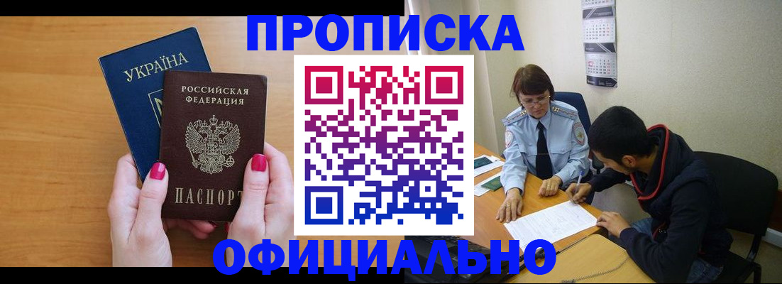 прописка в квартире в Камышлове